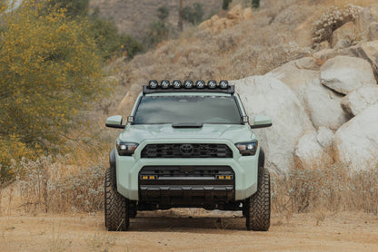 Photo - Close Up